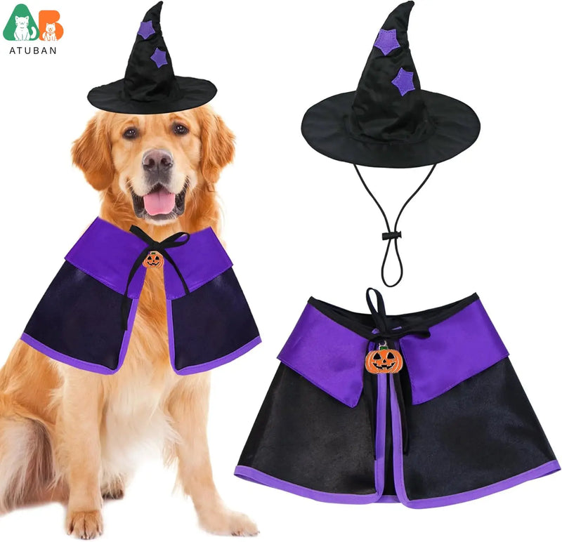 Fantasia bruxa halloween pets