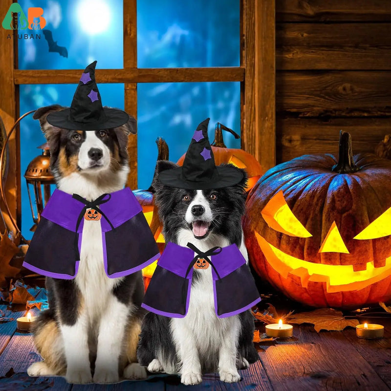 Fantasia bruxa halloween pets