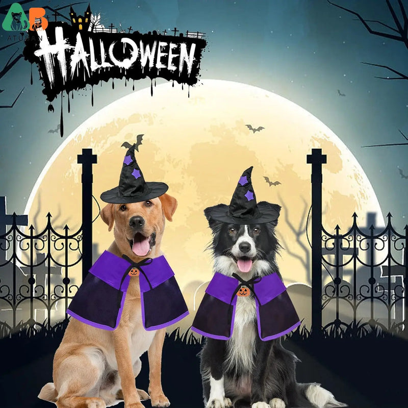 Fantasia bruxa halloween pets