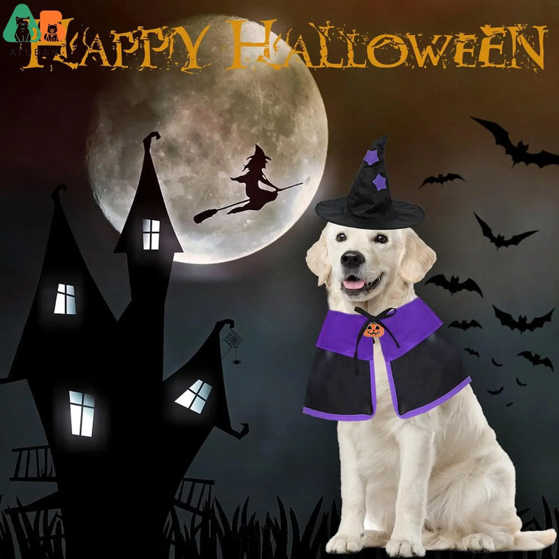 Fantasia bruxa halloween pets