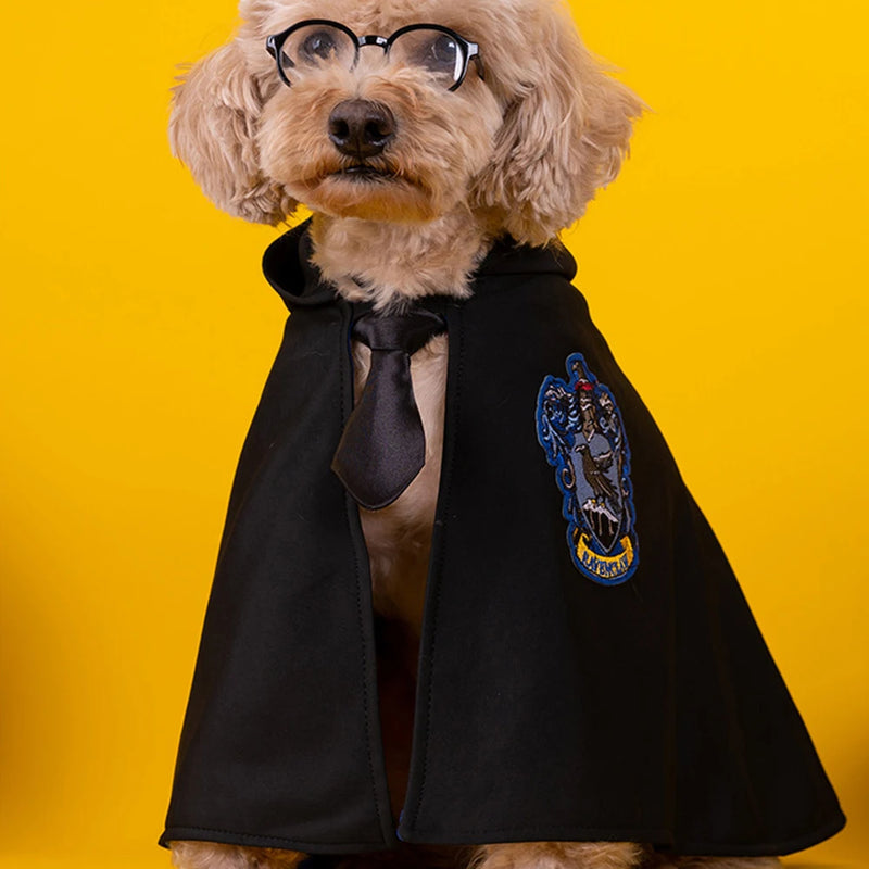 Fantasia halloween Harry Potter para pets varios tamanhos