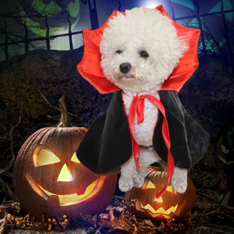 Fantasia halloween Drácula para pets