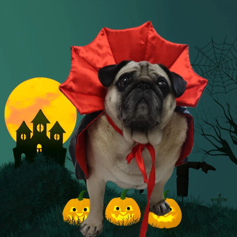 Fantasia halloween Drácula para pets